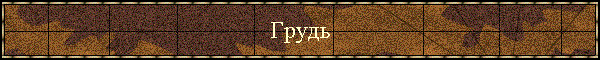 Грудь